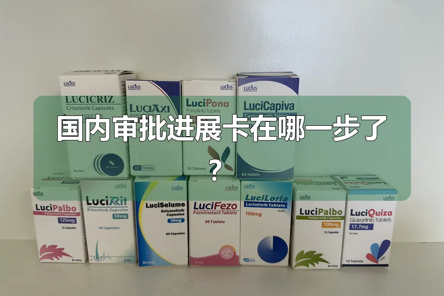 国内审批进展卡在哪一步了?